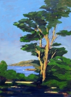 cypress-and-ocean